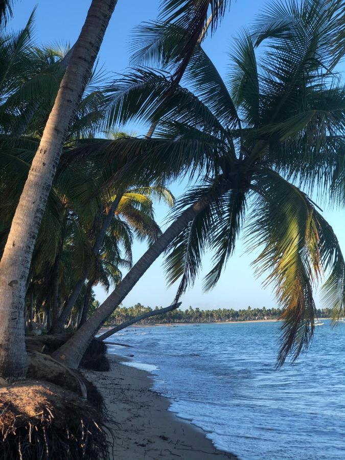 Le Petit Suítes Praia de Lages Pôrto de Pedras Extérieur photo