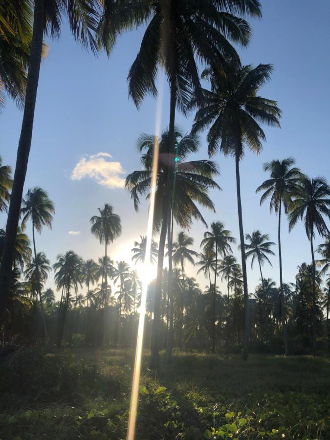 Le Petit Suítes Praia de Lages Pôrto de Pedras Extérieur photo